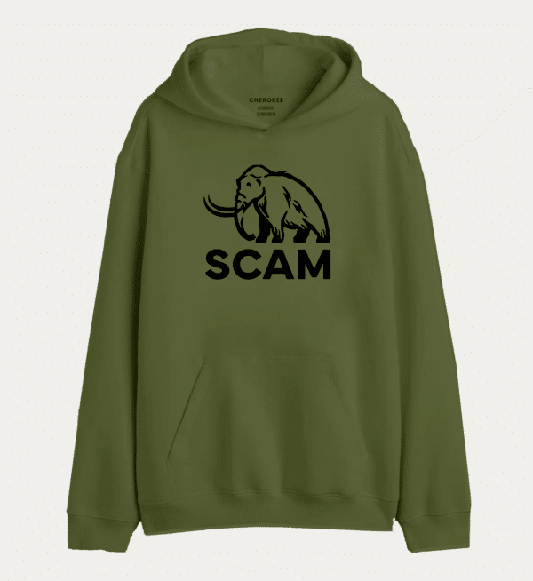 Толстовка з прикольним дизайном "SCAM"