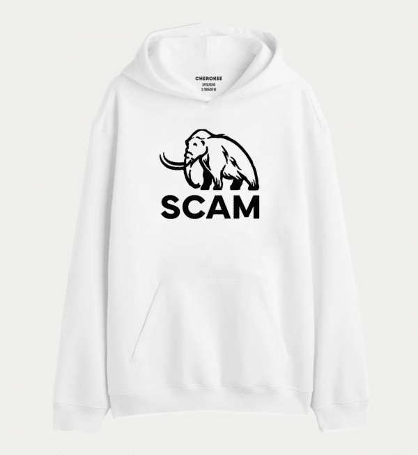 Толстовка з прикольним дизайном "SCAM"
