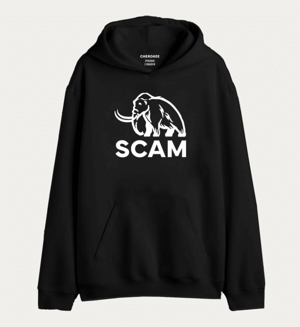 Толстовка з прикольним дизайном "SCAM"