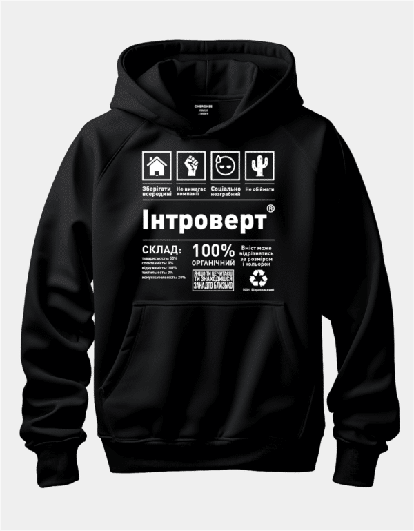 Крутий худі з написом "Інтроверт"