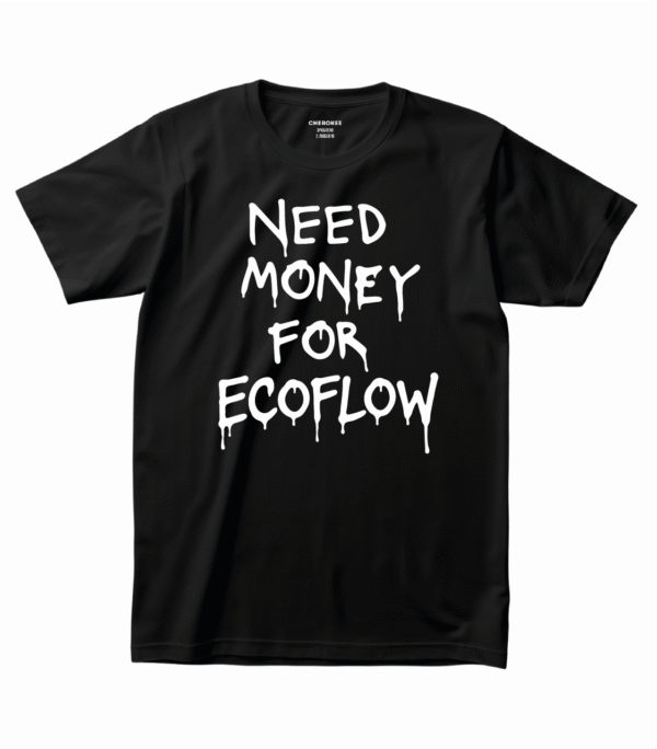 Футболка з іронічним написом — “NEED MONEY FOR ECOFLOW”