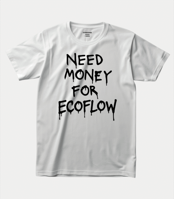 Футболка з іронічним написом — “NEED MONEY FOR ECOFLOW”
