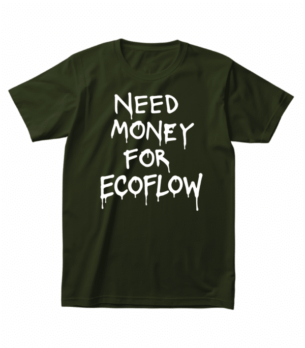 Футболка з іронічним написом — “NEED MONEY FOR ECOFLOW”